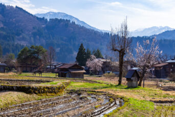 飛騨・白川・荻町集落（岐阜県：2026年4月）