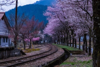 長良川鉄道越美南線・北濃駅（岐阜県：2026年4月）