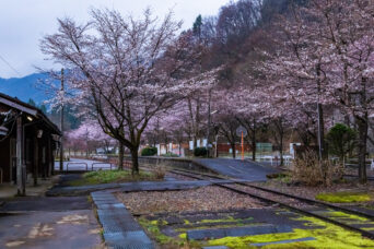 長良川鉄道越美南線・北濃駅（岐阜県：2026年4月）