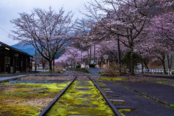 長良川鉄道越美南線・北濃駅（岐阜県：2026年4月）