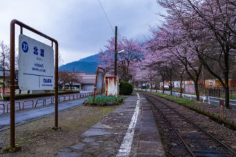 長良川鉄道越美南線・北濃駅（岐阜県：2026年4月）