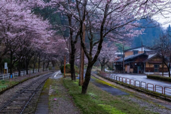 長良川鉄道越美南線・北濃駅（岐阜県：2026年4月）