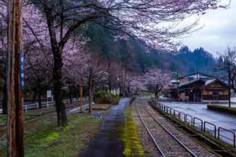長良川鉄道越美南線・北濃駅（岐阜県：2026年4月）