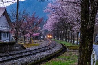 長良川鉄道越美南線・北濃駅（岐阜県：2026年4月）