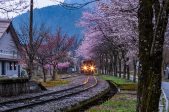 長良川鉄道越美南線・北濃駅（岐阜県：2026年4月）
