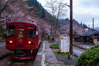 長良川鉄道越美南線・北濃駅（岐阜県：2026年4月）