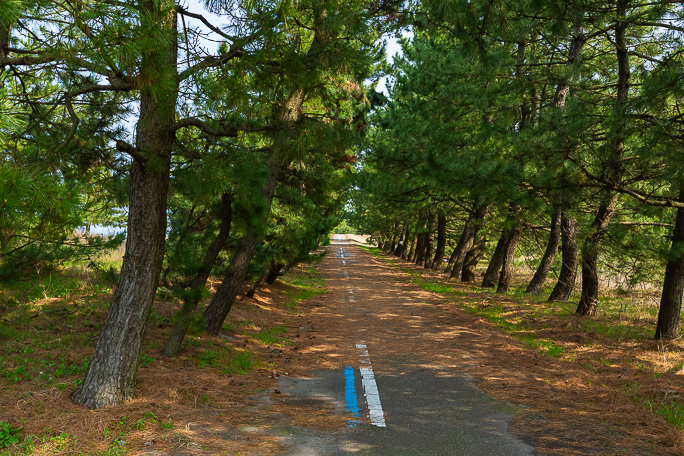 富山湾岸に断続的に続く自転車道を行く
