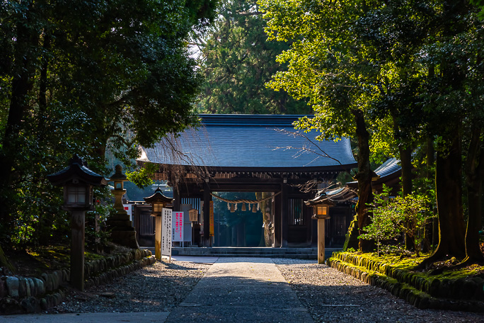 朝の静謐な空気に満たされた雄山神社前立社壇の参道