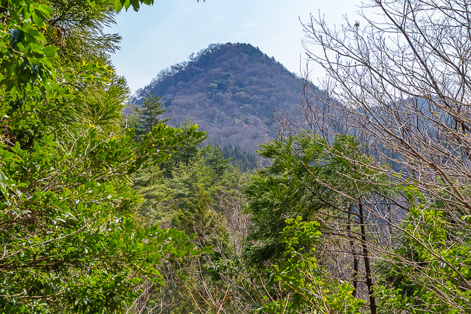 夏椿峠ルートから仰ぎ見る尖山