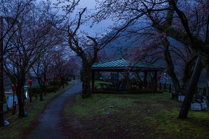 一夜明けた庄川水記念公園は相変わらずの霧雨の中だった
