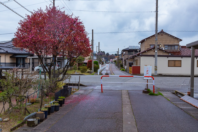 八ケ山駅跡から富山北口駅跡の一部に廃線跡がバス専用道として使われていた時代の痕跡がある
