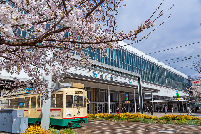 春爛漫の富山駅で鉄軌道が交錯する印象的な都市鉄道風景