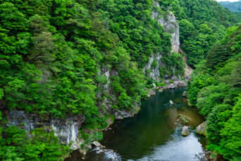 日光・鬼怒川温泉郷（栃木県：2026年5月）