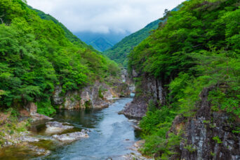 東武鉄道鬼怒川線・龍王峡駅付近・龍王峡（栃木県：2026年5月）