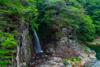 東武鉄道鬼怒川線・龍王峡駅付近・龍王峡（栃木県：2026年5月）