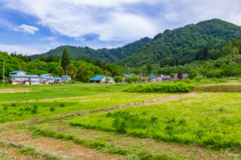 会津・金山・大栗山集落（福島県：2026年5月）