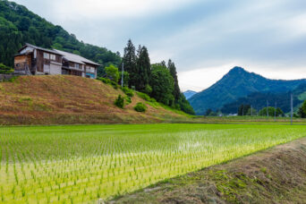 JR只見線・会津塩沢駅付近・十島集落から望む蒲生岳と浅草岳（福島県：2026年6月）