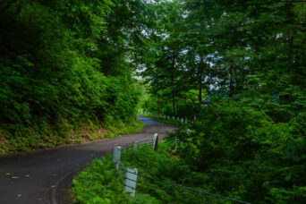 北信・野沢温泉村・奥志賀林道(長野県:2026年6月)