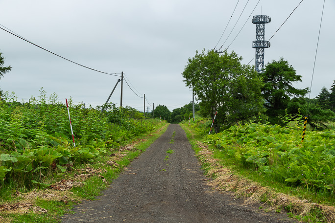駅前通りは本通りと直行して道道の方向に抜けている