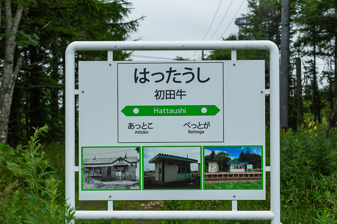 記念看板のホームに面した側のデザイン