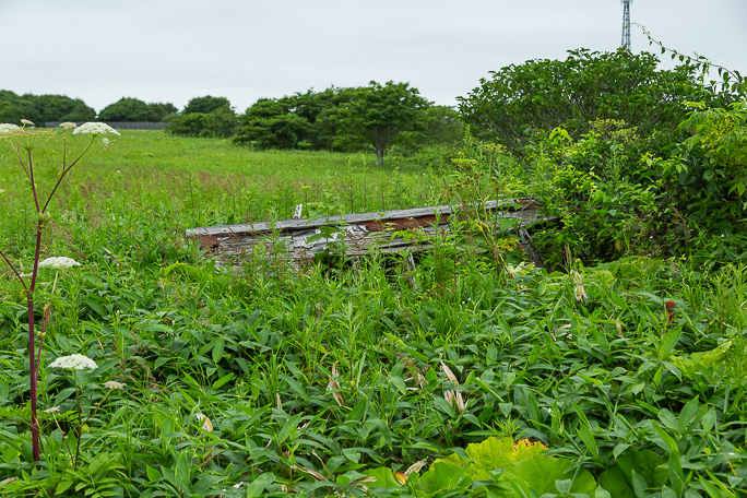 駅前通り脇の草叢には朽ち果てた家屋の残骸が眠っていた
