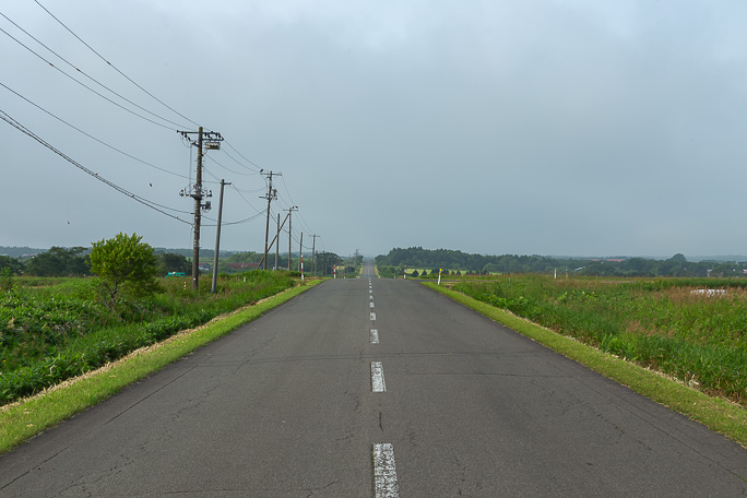 根釧原野の丘陵地をひた走る
