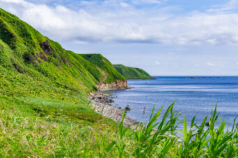 道南・奥尻島・米岡・千畳浜(北海道:2026年7月)