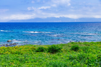 道南・奥尻島・稲穂(北海道:2026年7月)