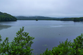 道南・七飯・蓴菜沼(北海道:2026年7月)