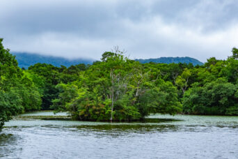 道南・七飯・小沼（北海道：2026年7月）