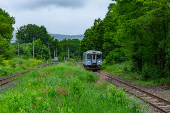 JR函館本線・赤井川駅（北海道：2026年7月）