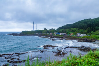 道南・函館・女那川・寄貝歌（北海道：2026年8月）