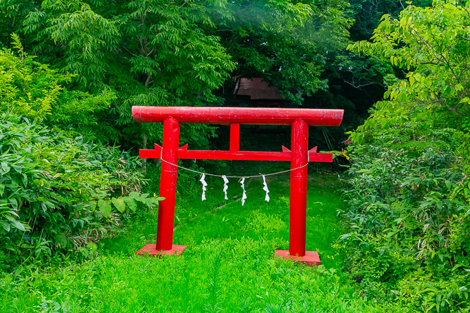 背丈程度の低い鳥居を潜って四つ山稲荷神社を参拝
